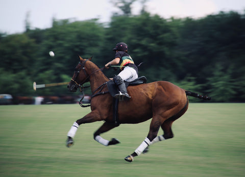 polocross