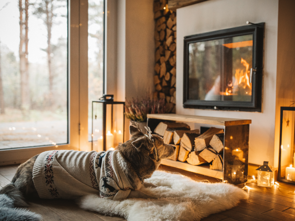 Picture of a dog resting by the fireplace in the winter time