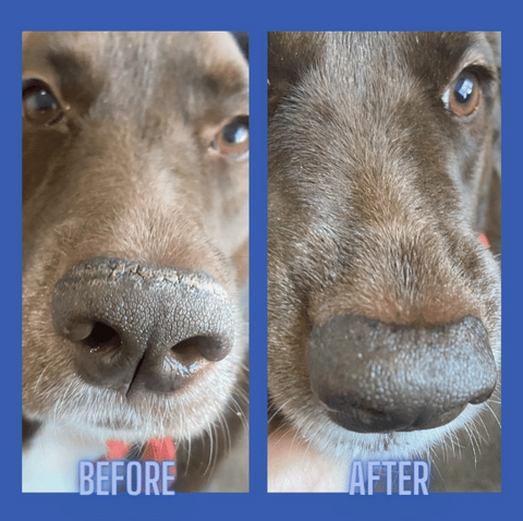 Squishface nose balm before & after picture