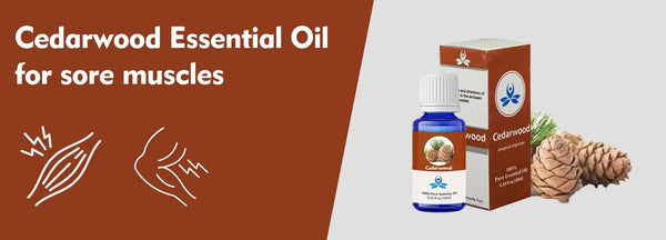 Cedarwood Essential Oil for Sore Muscles
