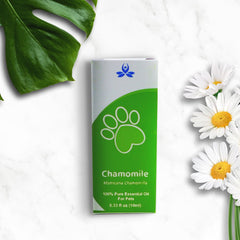 Pet Chamomile Essential oils