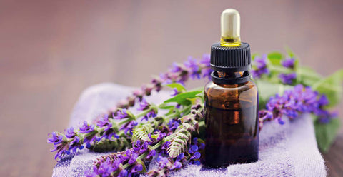 Clary Sage essential oil