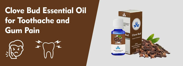 Clove Bud Essential Oil for Toothache and Gum Pain