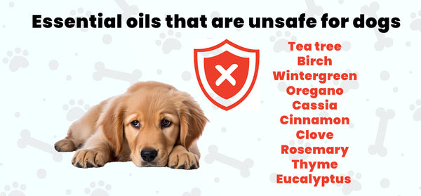 Essential Oils Unsafe for Dogs