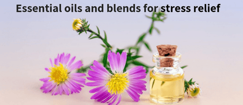 Essential Oils for Stress Relief 