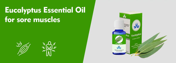 Eucalyptus Essential Oil for Sore Muscle