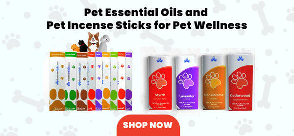 Pet Essential Oils and Incense Sticks for Pet Wellness