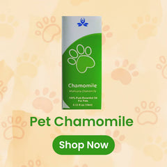 Buy Pet Chamomile