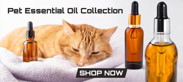 Pet Essential Oil Collection