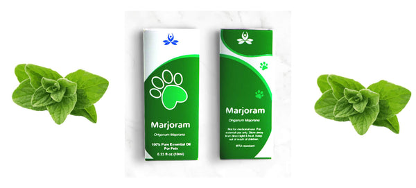 Pet Marjoram Essential Oil