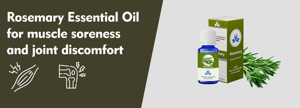 Rosemary Essential Oil for Joint Discomfort