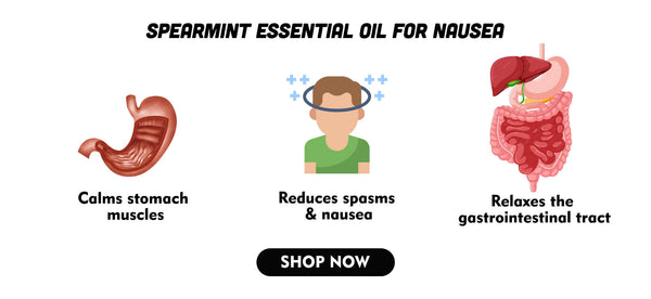 Spearmint Essential Oil for Nausea