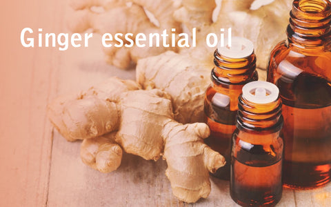 Ginger Essential oil