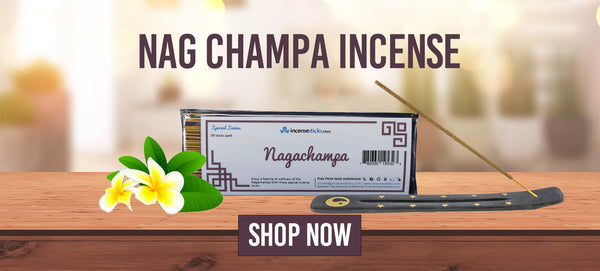 Shop Nag Champa Incense Sticks