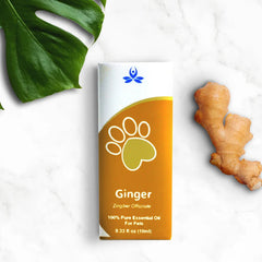 Pet Ginger Essential Oil