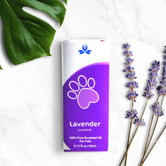 Pet Lavender Essential Oil