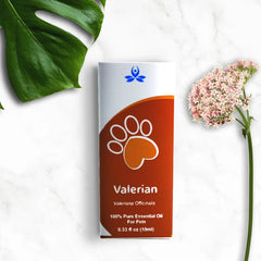 Pet Valerian Essential Oil