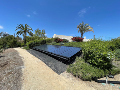 solar pool heating panels and palm trees