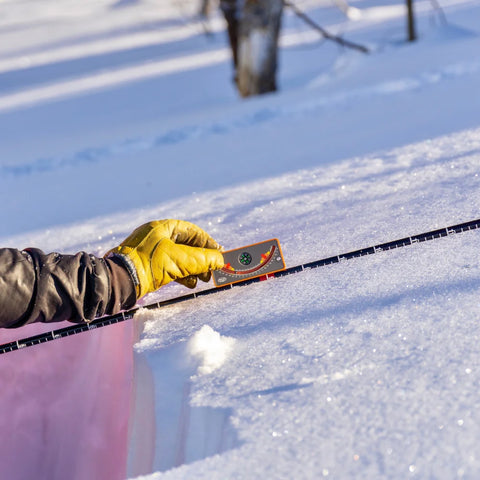 Staying safe in the backcountry