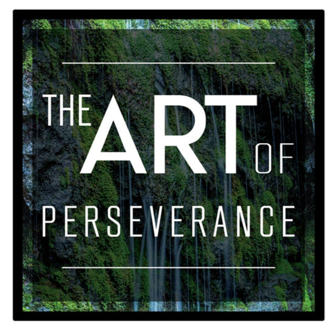Art of Perserverance