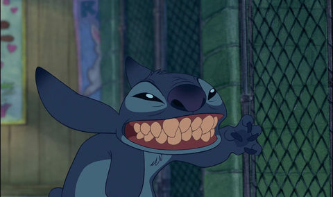 stitch est une experience