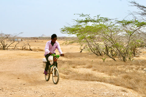 A Wayuu man treks through the Guajira Desert on a bicycle.
