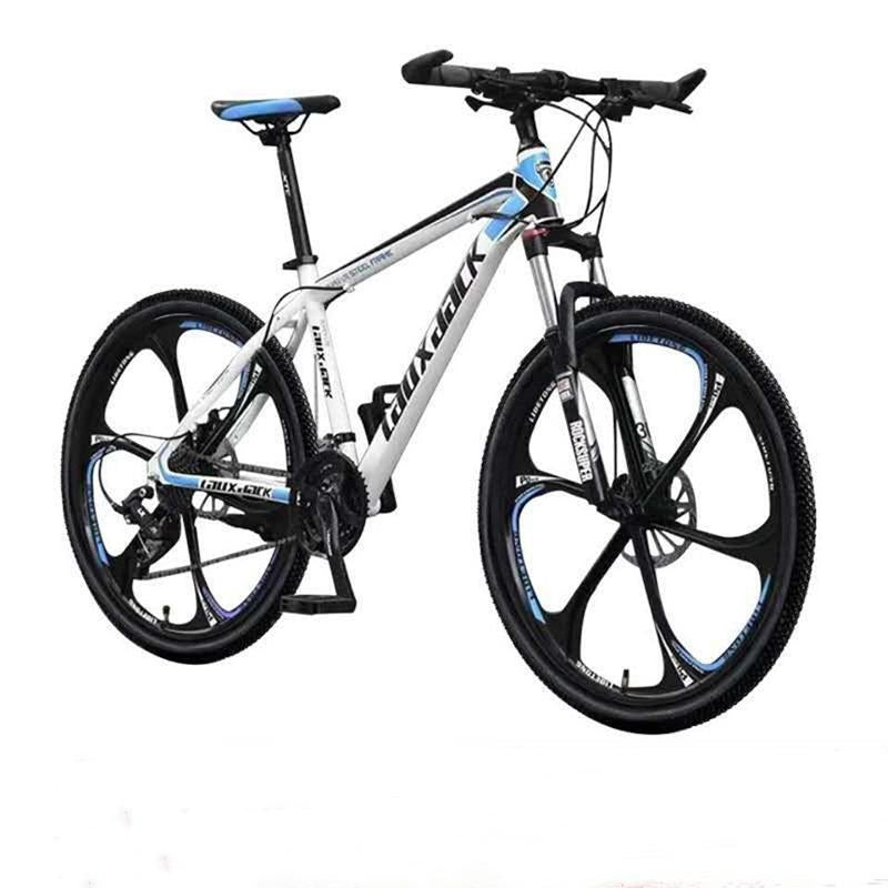 double disc bicycle