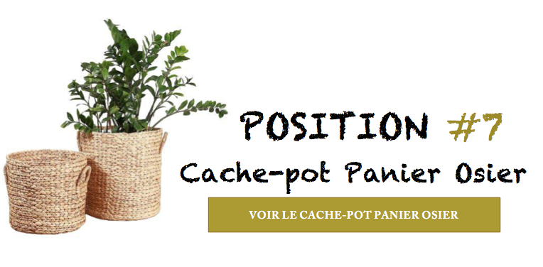 cache-pot panier osier