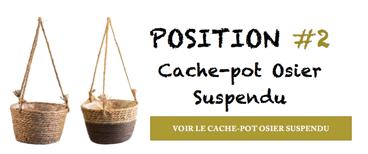 cache-pot osier suspendu