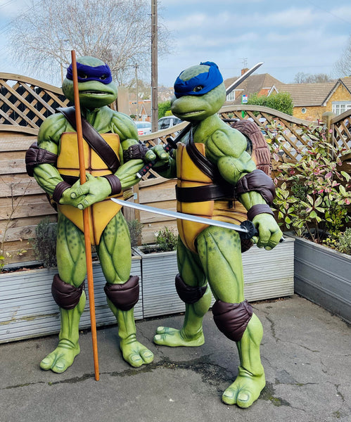 Turtles in Leigh on sea, at Sarah's Creative Chocolate Kitchen