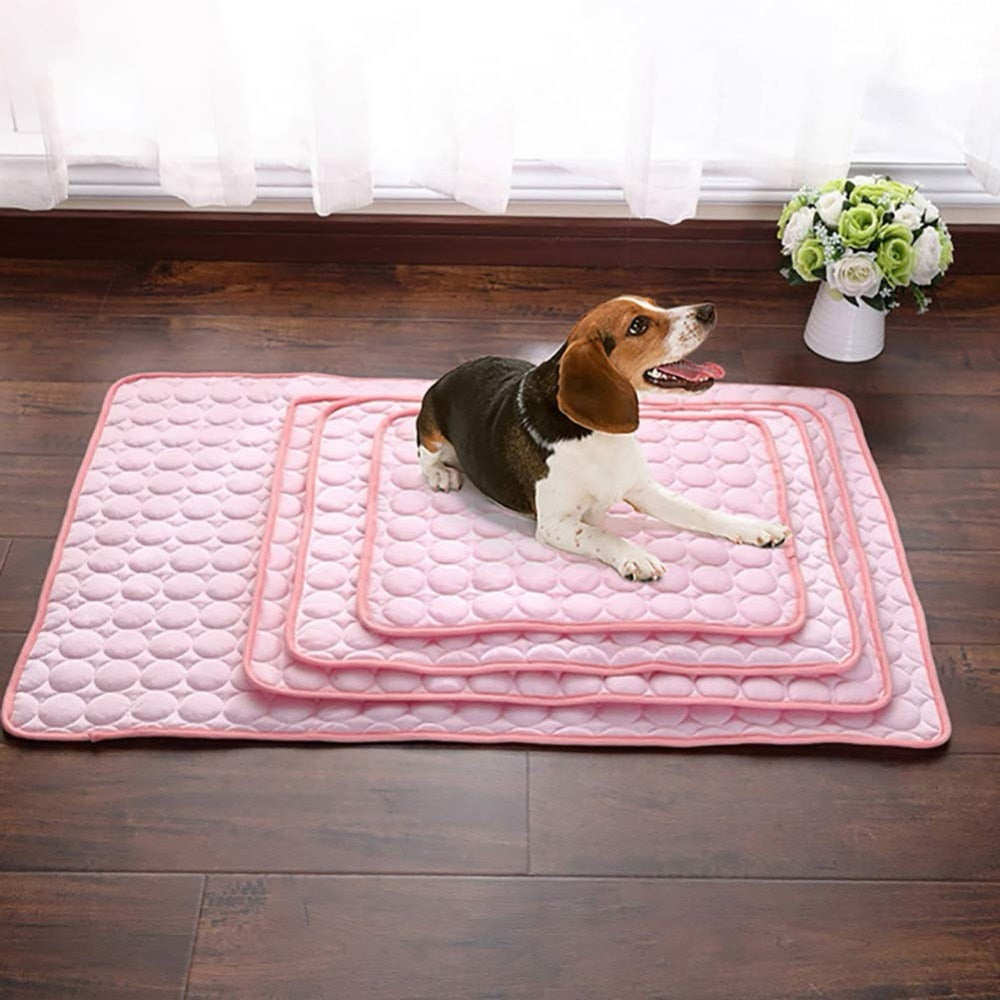  Tapis  rafra chissant pour chiens  Mon collier a 4 pattes