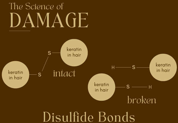 science of damage