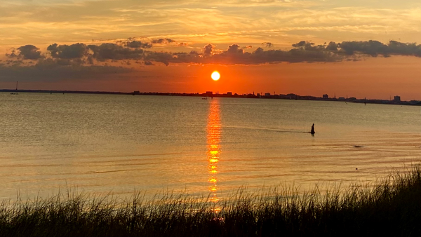 Pitt Street Bridge