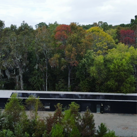 Solar Panels at Maya Chia's Manufacturing Facility in Charleston, SC