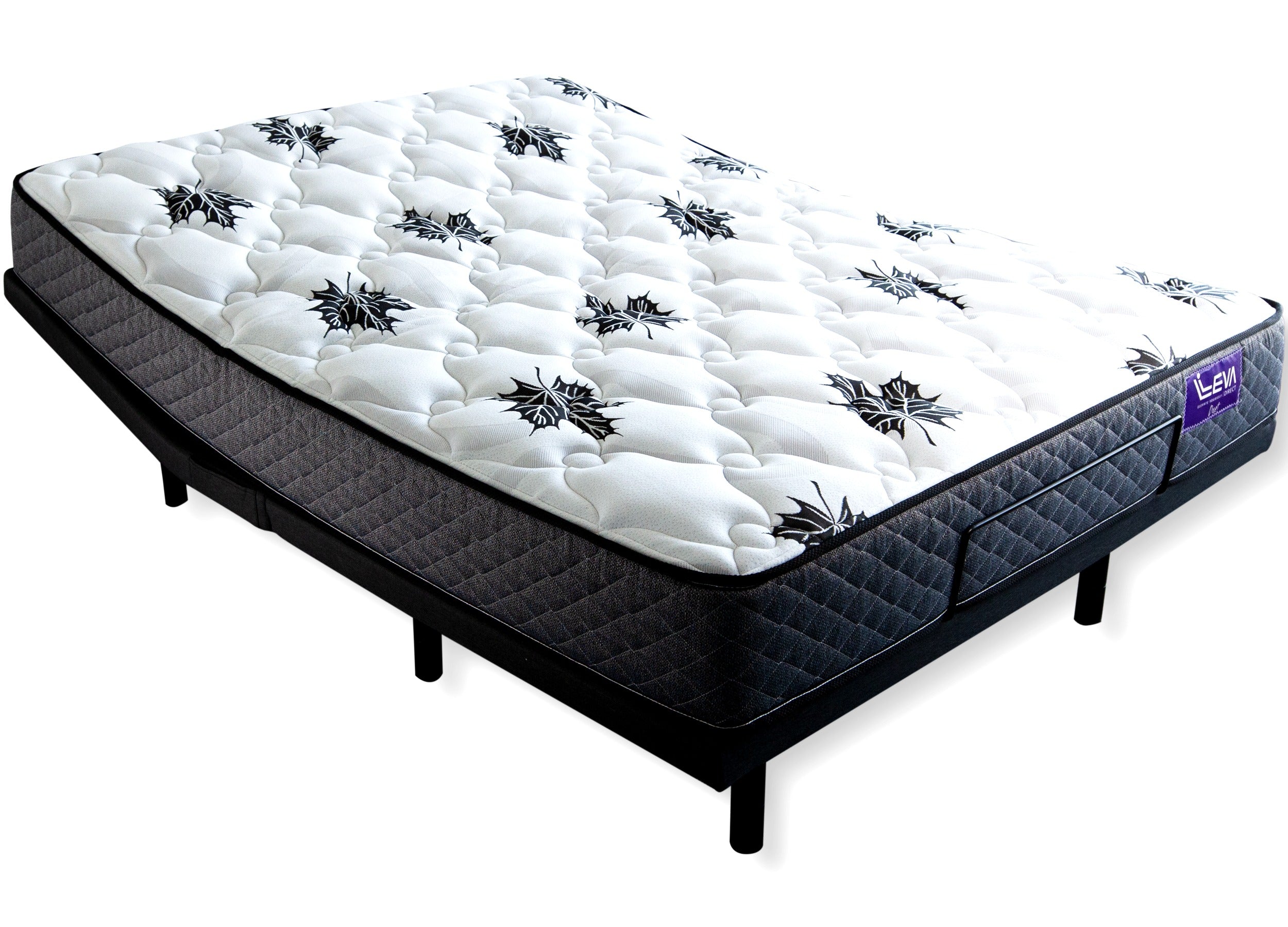 Rembrandt Queen Adjustable Bed