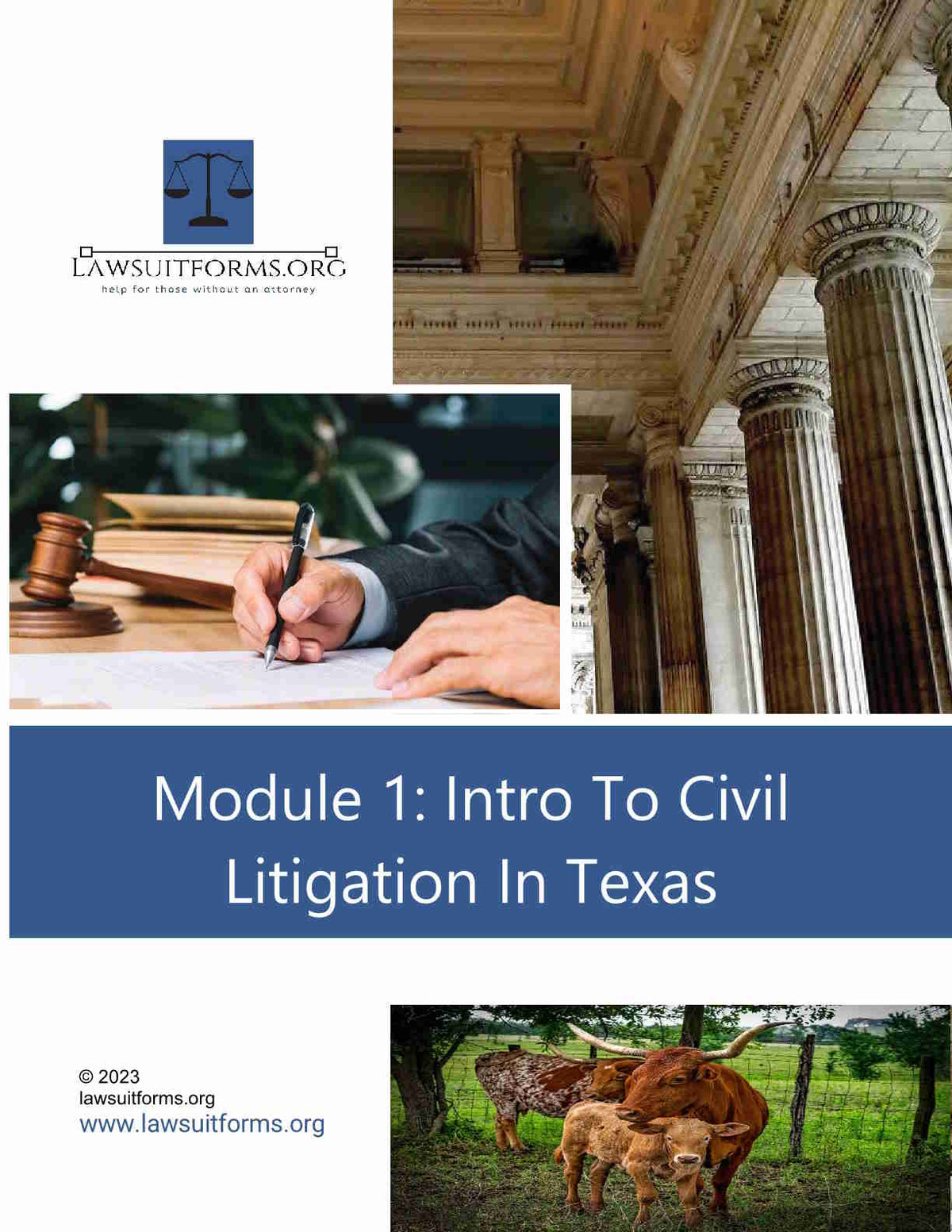 Texas civil lawsuit guide