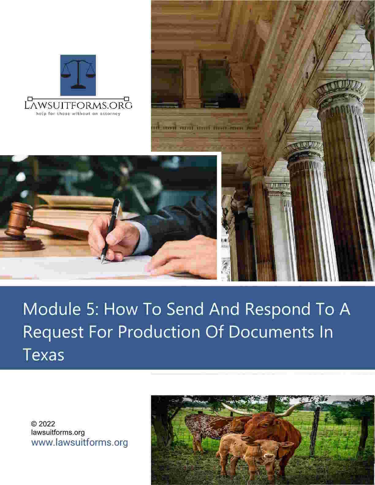 Request for production of documents Texas