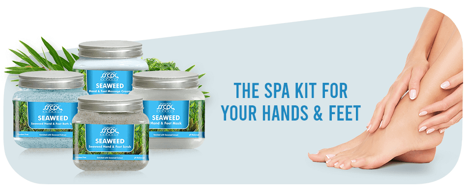 seaweed kit