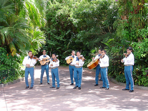 Cinco de Mayo Celebration