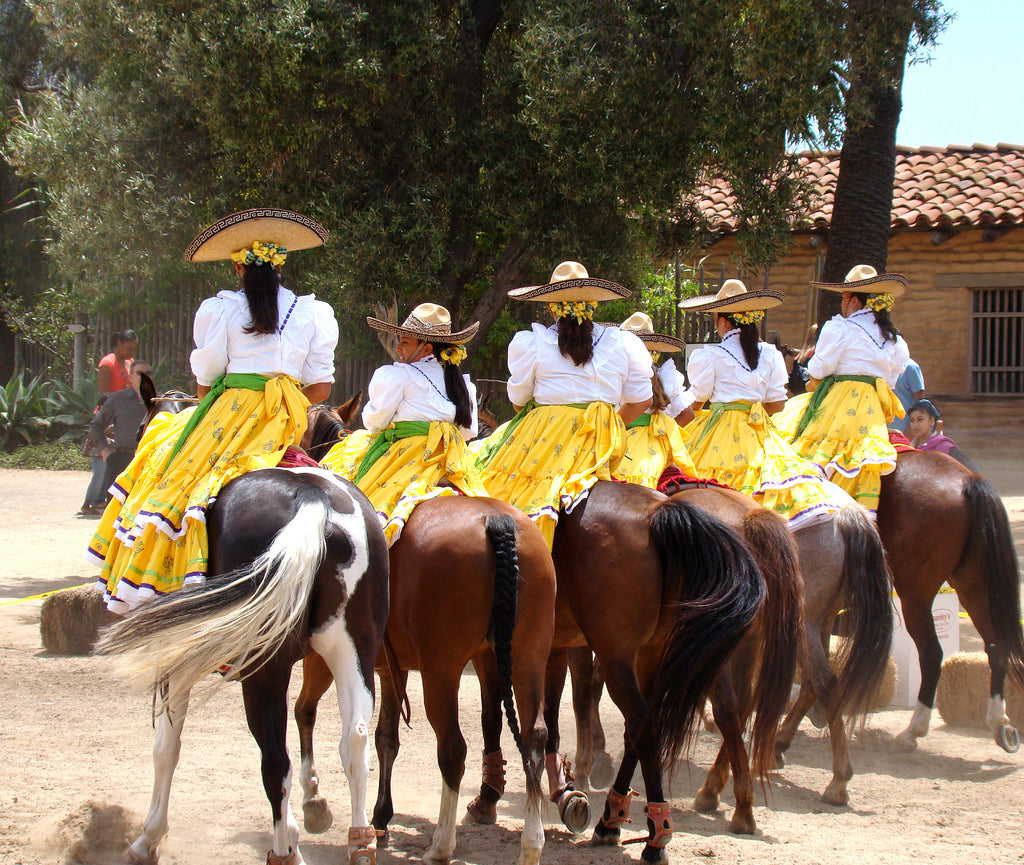 Cinco de Mayo Celebration