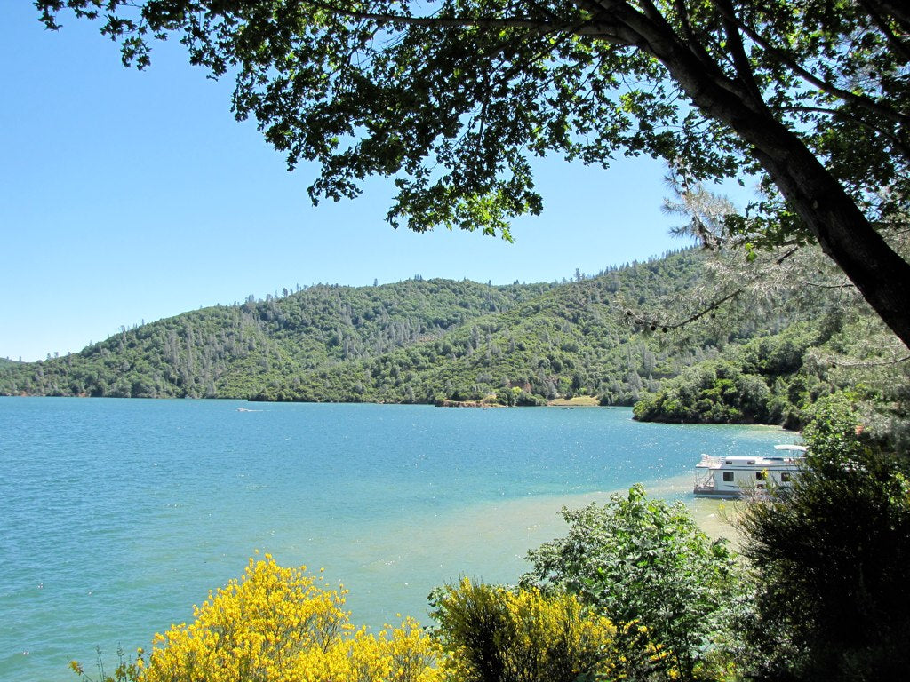 Shasta Lake