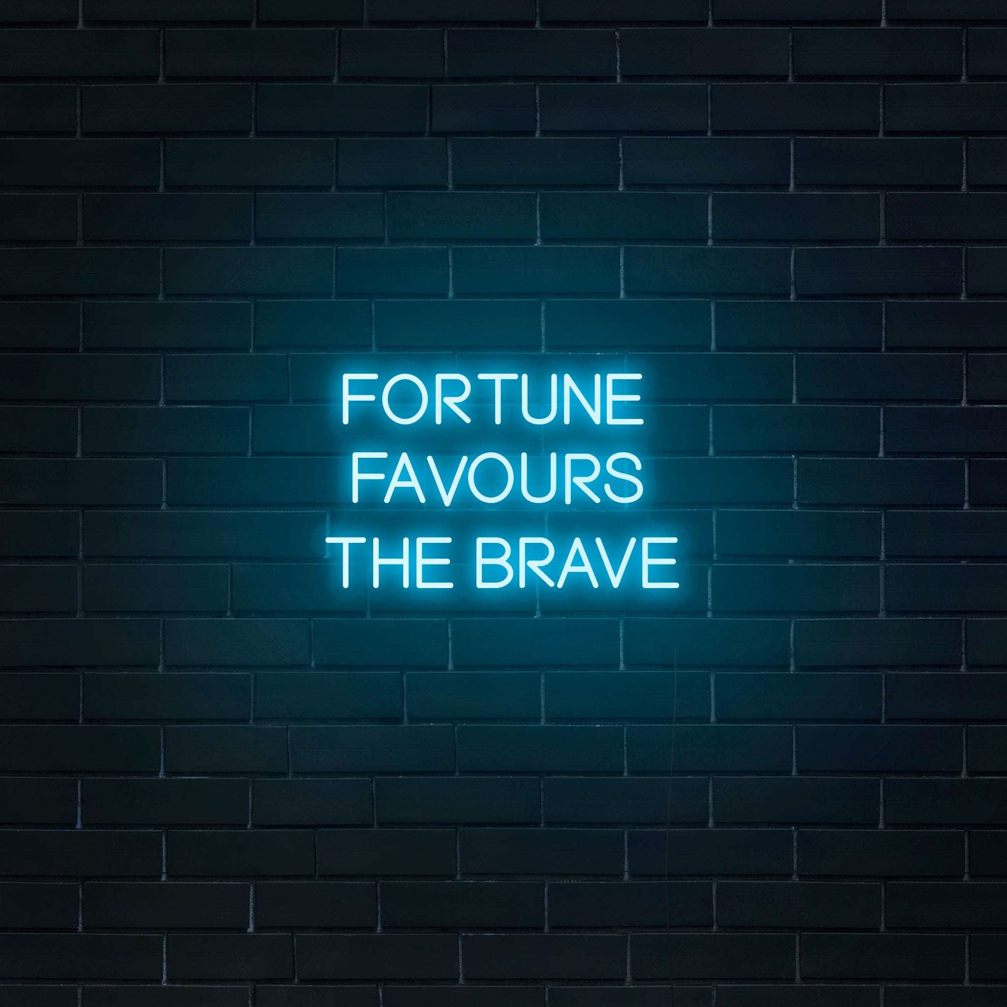 who first said fortune favors the brave