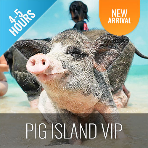 Pig Island VIP Snorkeling Longtail Boat Koh Mudsum & Koh Tan