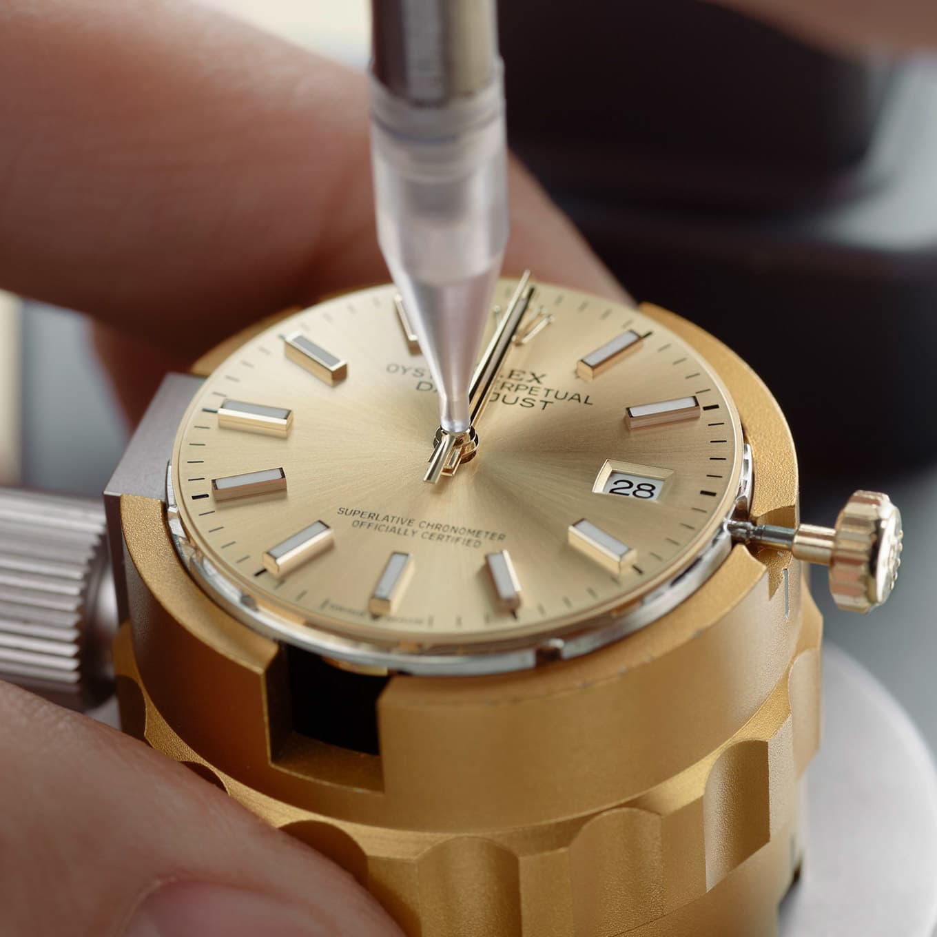 watch being put back into the case by a watchmaker