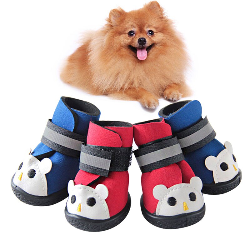 tiny dog boots