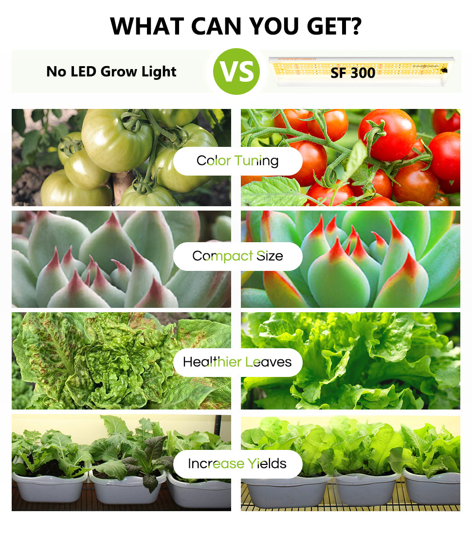 Spider Farmer UK®sf 300 vegetable led grow light high yield