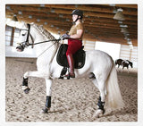 An Equestrianista riding dressage in her leopard short sleeve.