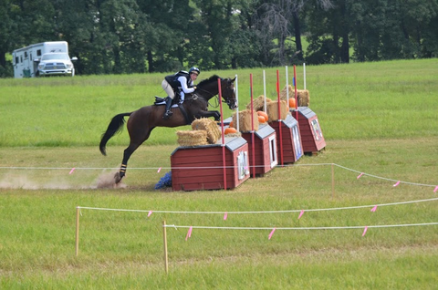 OTTB Eventer