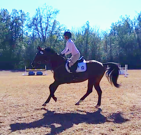 OTTB Eventer