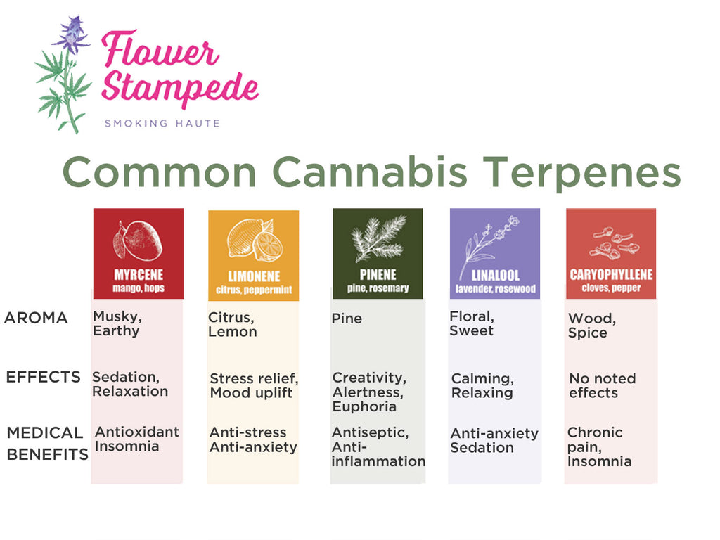Common cannabis terpenes